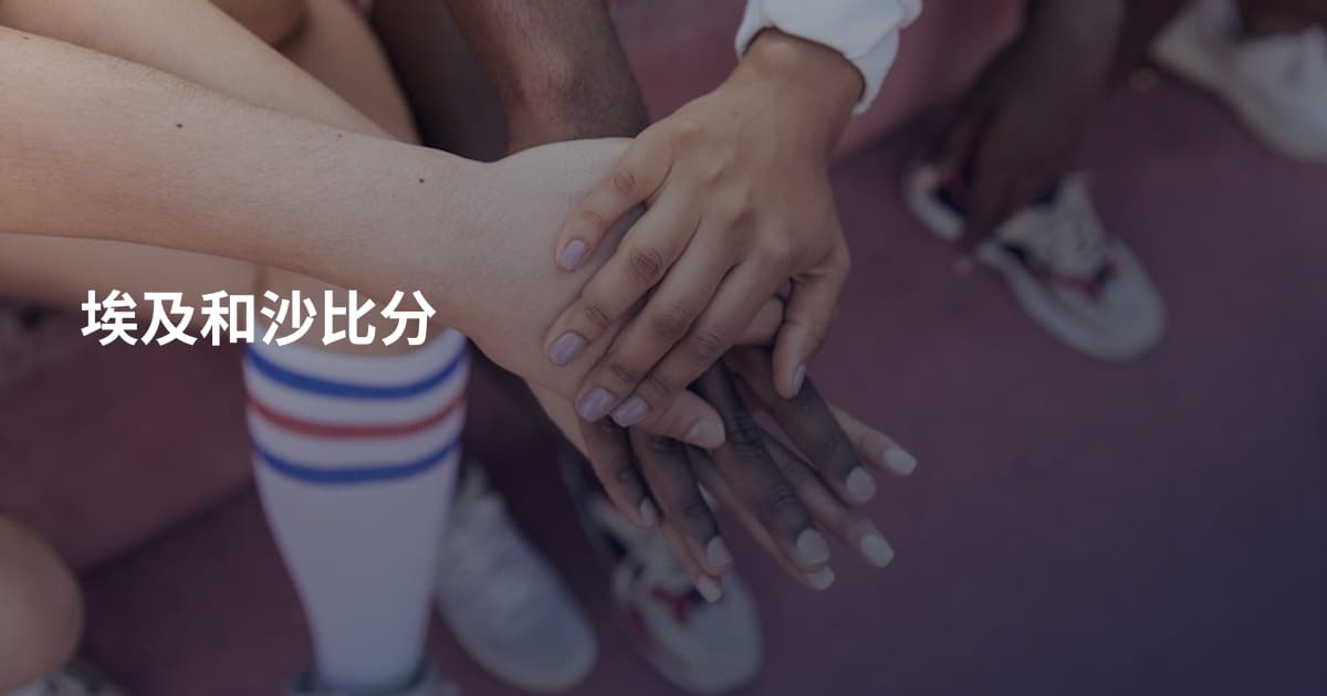 埃及和沙比分