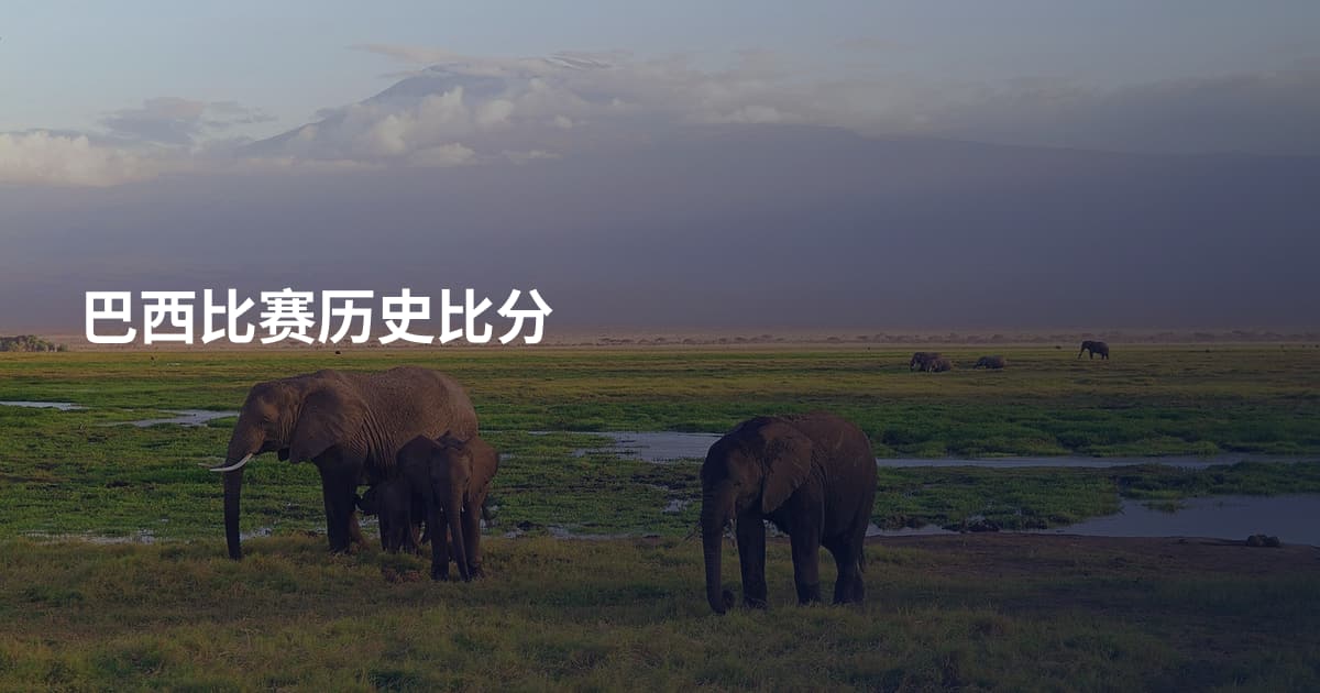 巴西比赛历史比分