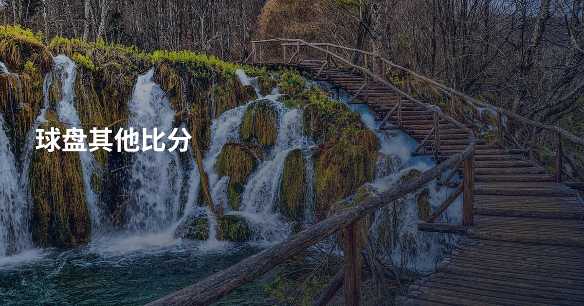 球盘其他比分