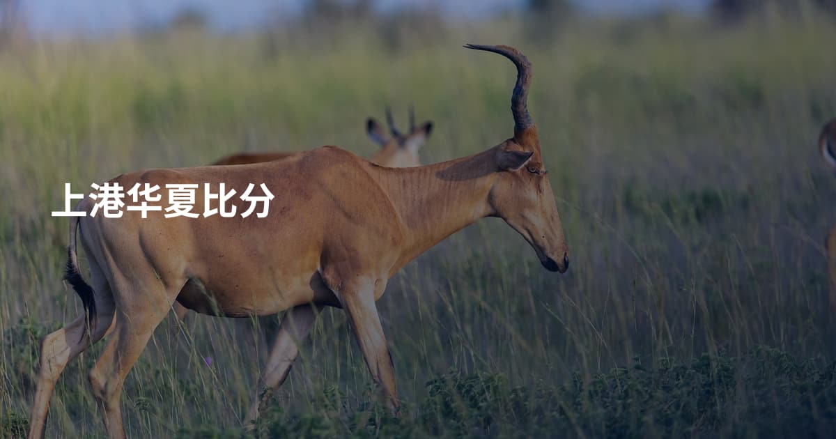 上港华夏比分