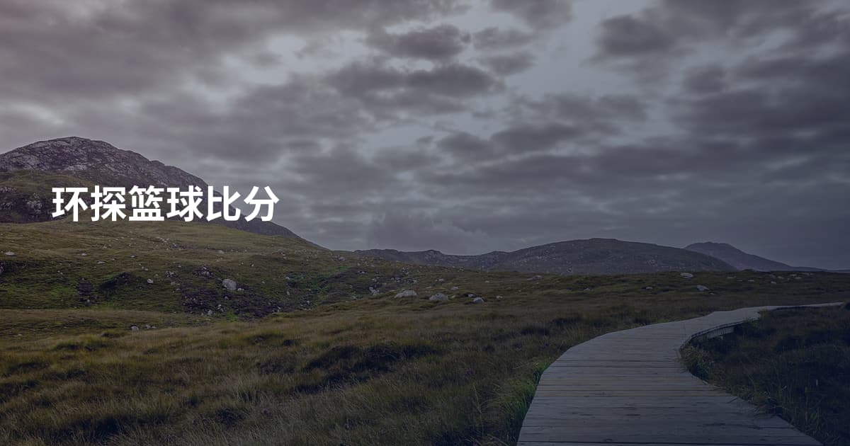 环探篮球比分