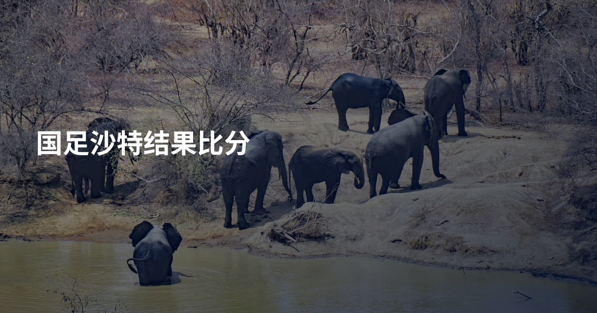 国足沙特结果比分