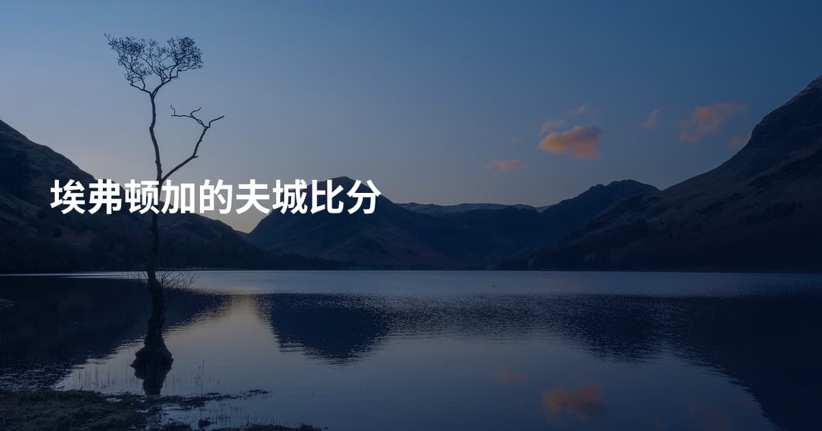 埃弗顿加的夫城比分