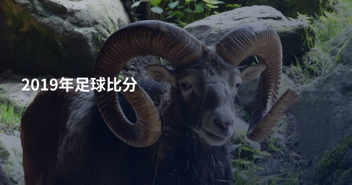 2019年足球比分