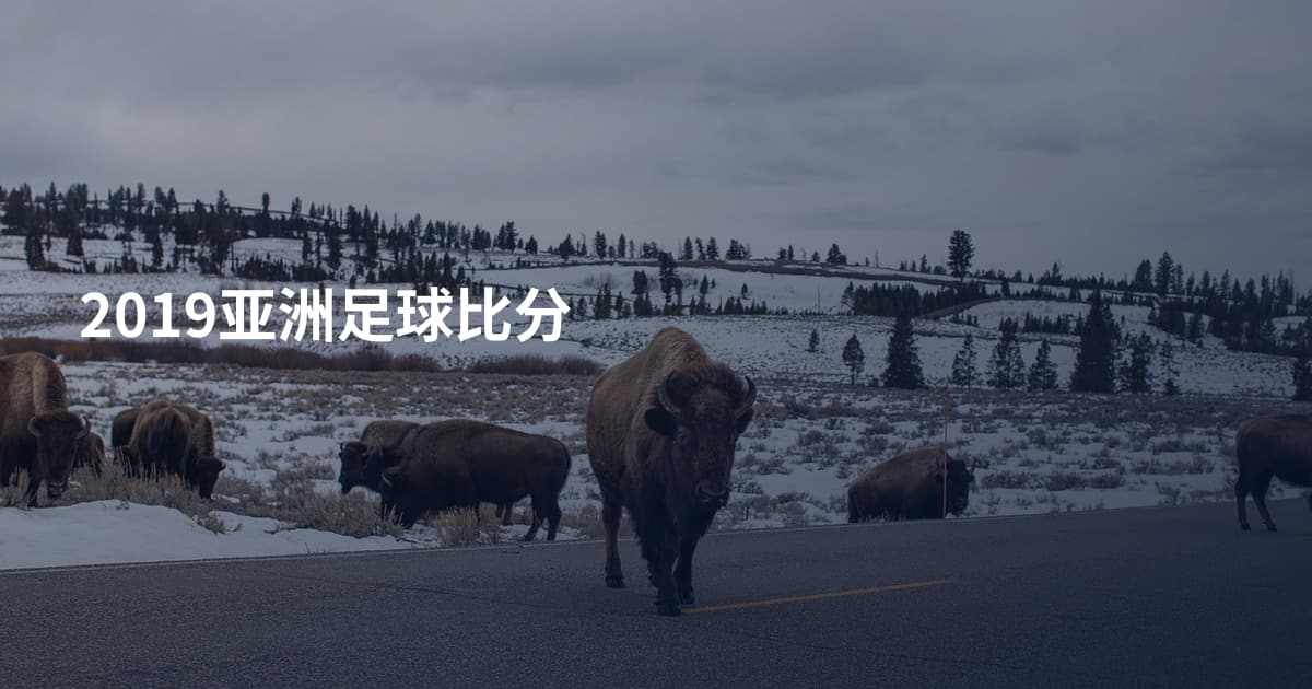 2019亚洲足球比分