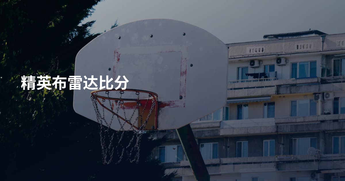 精英布雷达比分