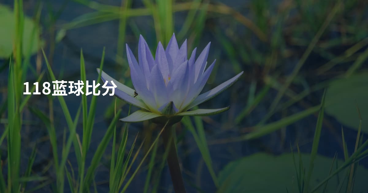 118蓝球比分
