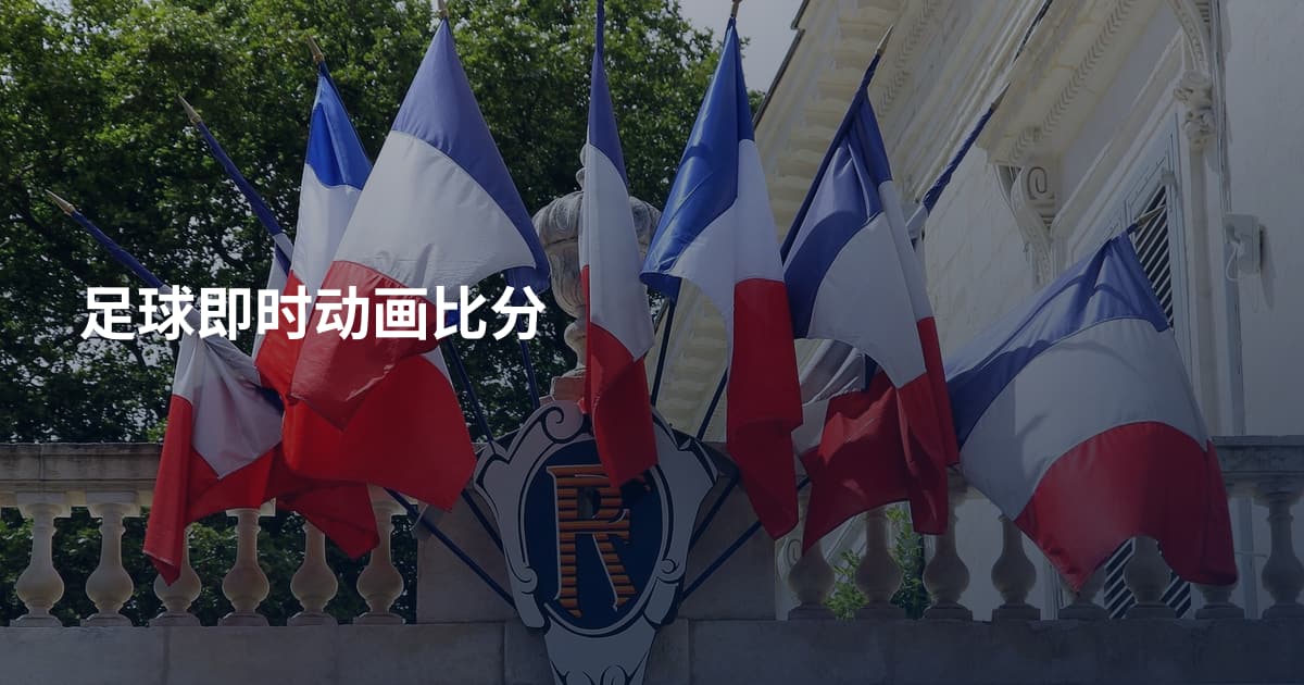 足球即时动画比分