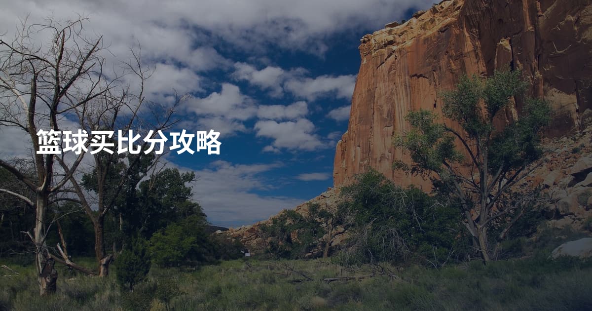 篮球买比分攻略