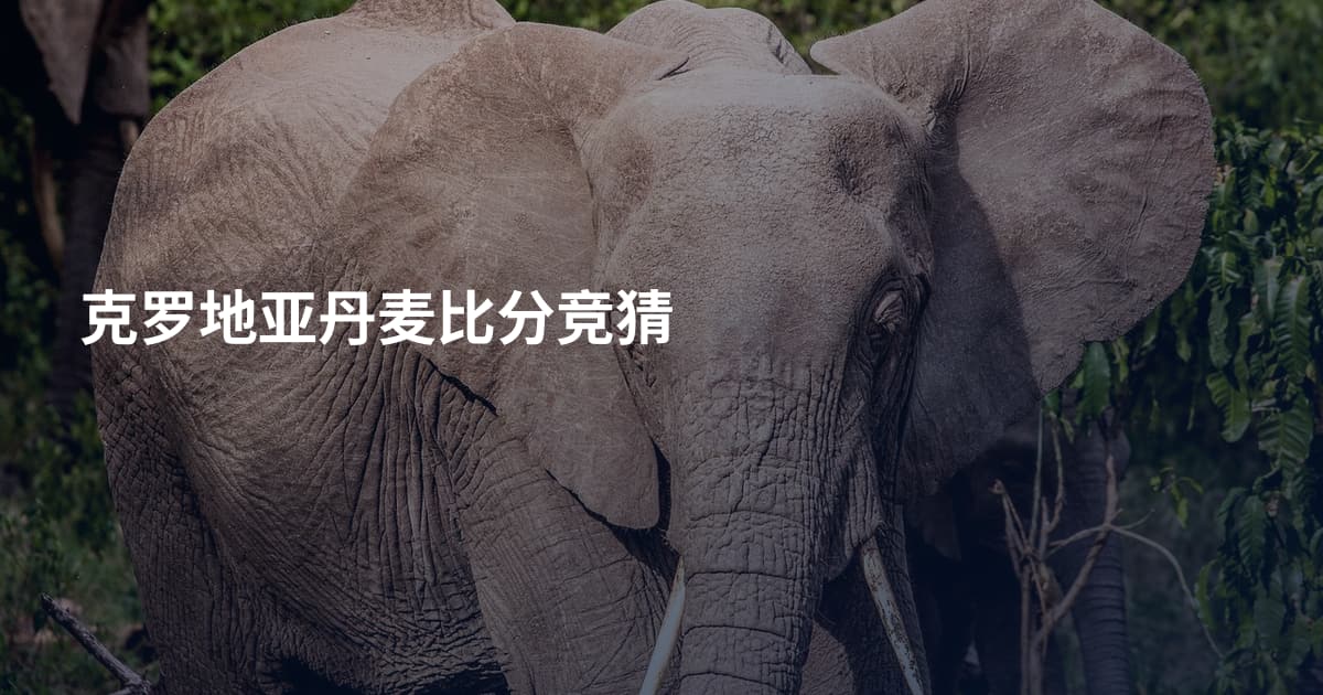 克罗地亚丹麦比分竞猜