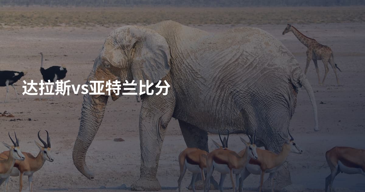 达拉斯vs亚特兰比分