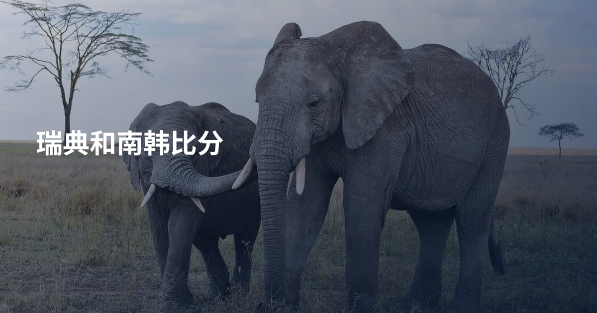 瑞典和南韩比分