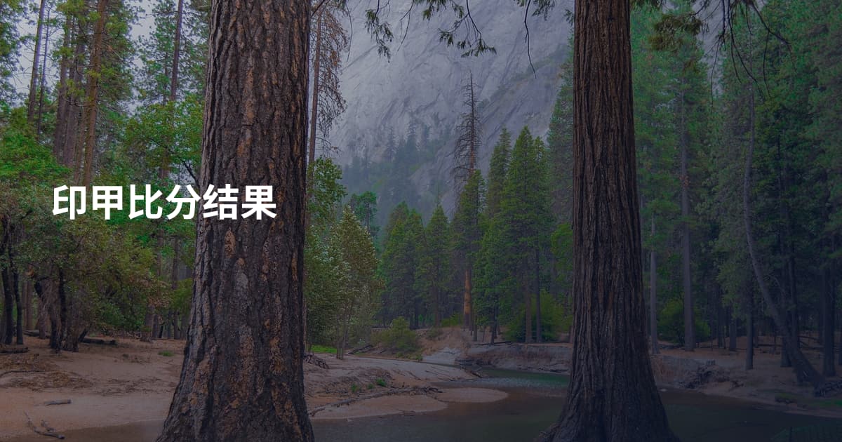 印甲比分结果