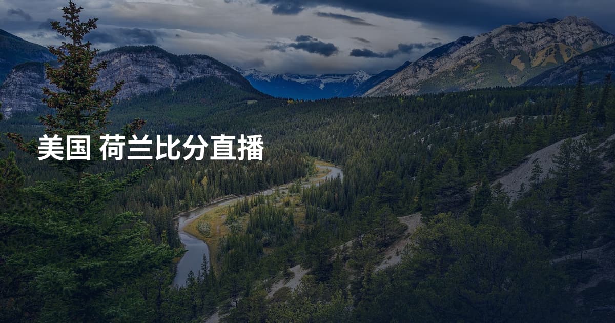 美国 荷兰比分直播