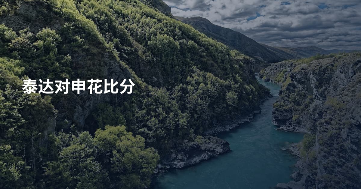 泰达对申花比分