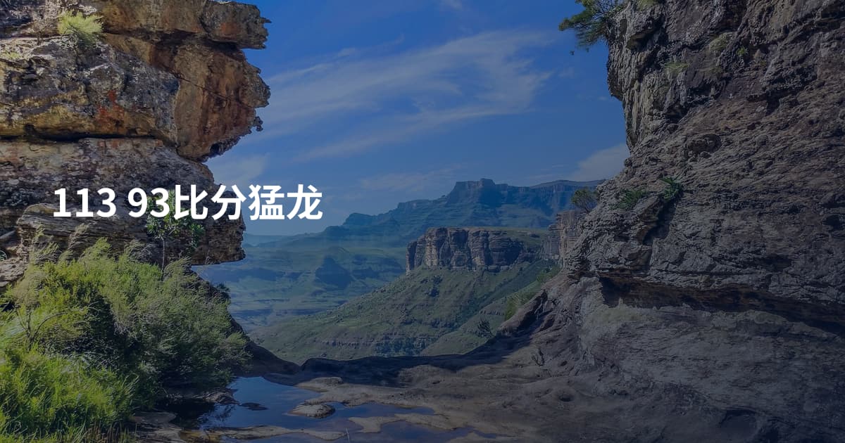 113 93比分猛龙