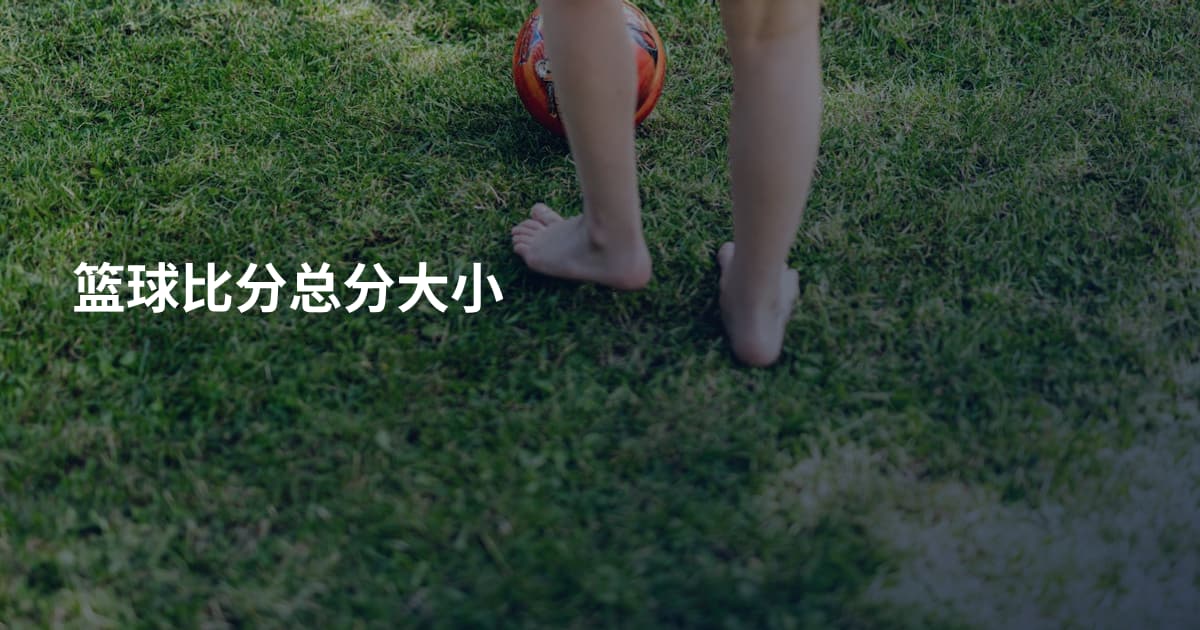篮球比分总分大小