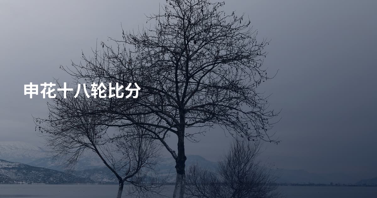 申花十八轮比分