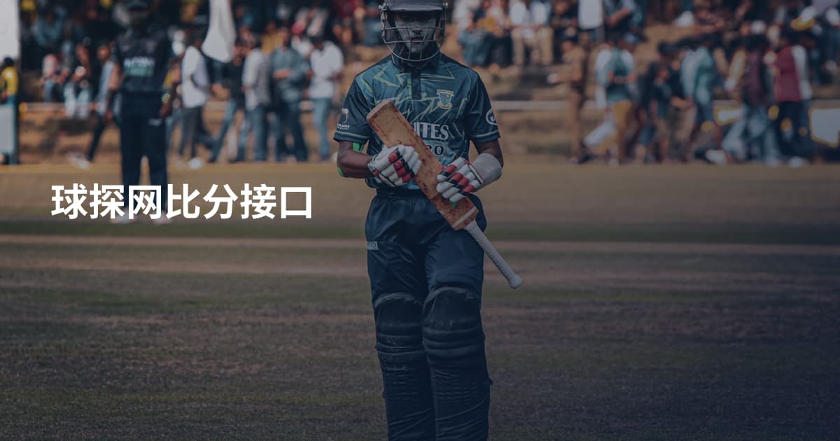 球探网比分接口