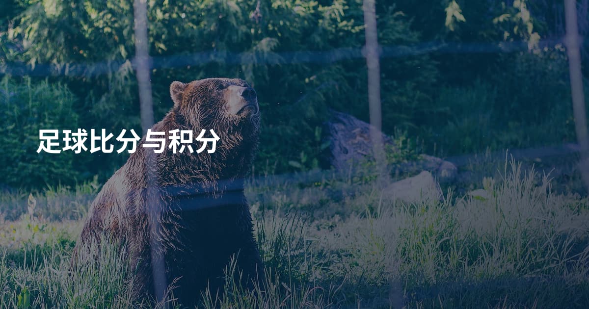 足球比分与积分