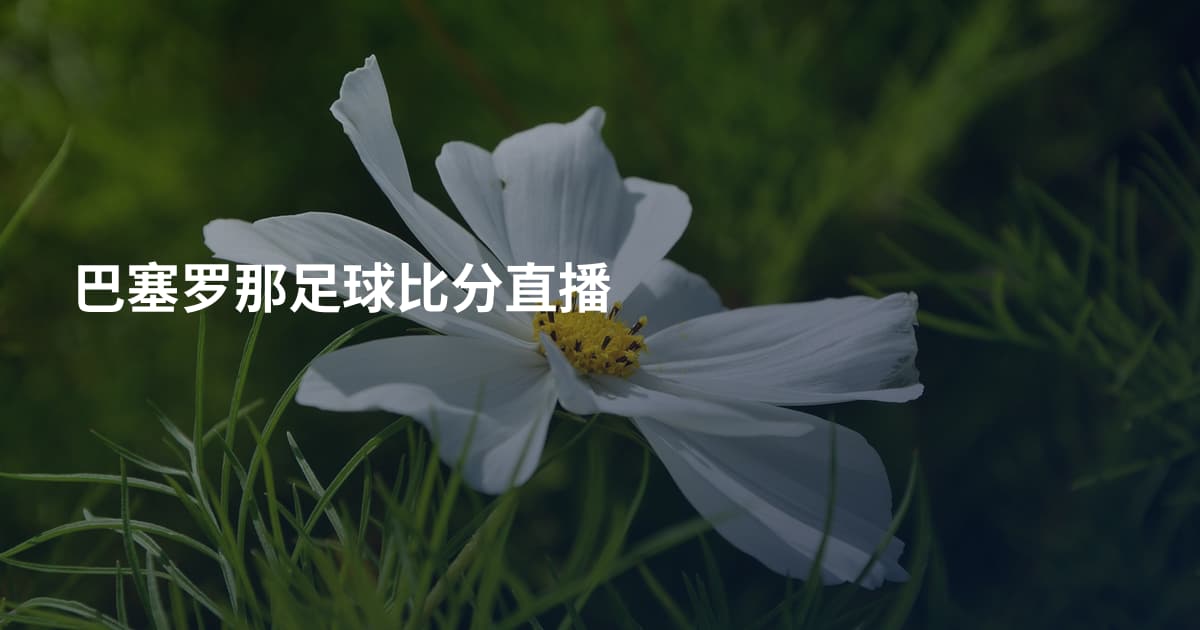 巴塞罗那足球比分直播