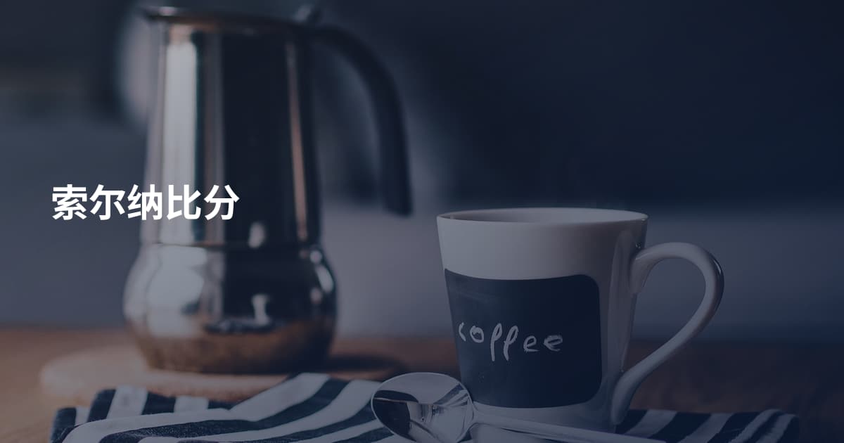 索尔纳比分