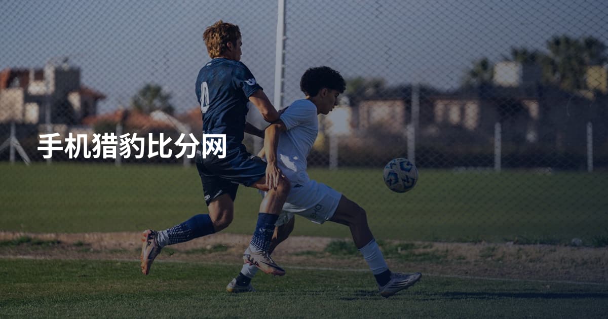 手机猎豹比分网