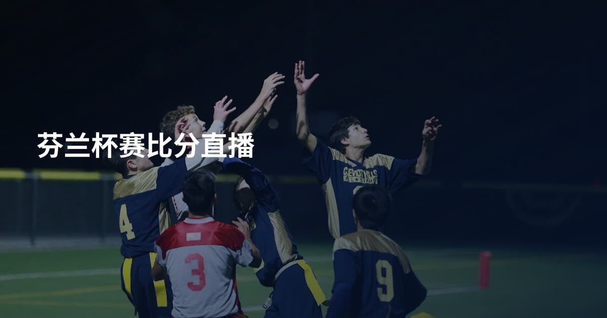 芬兰杯赛比分直播