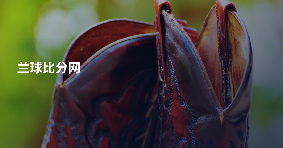 兰球比分网