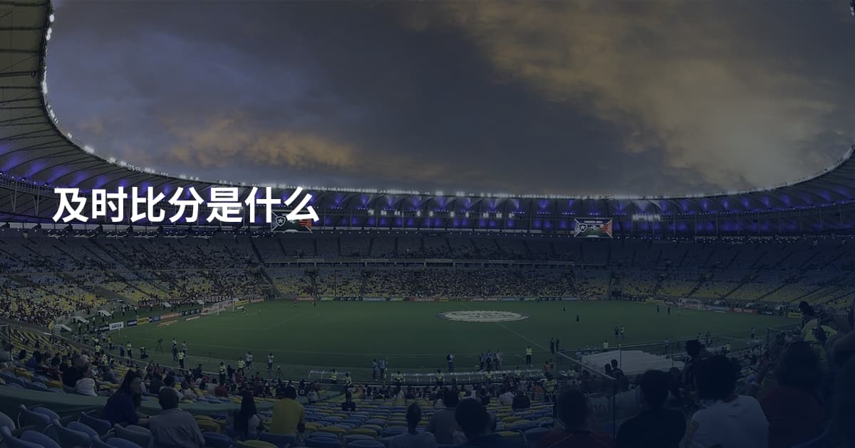 及时比分是什么