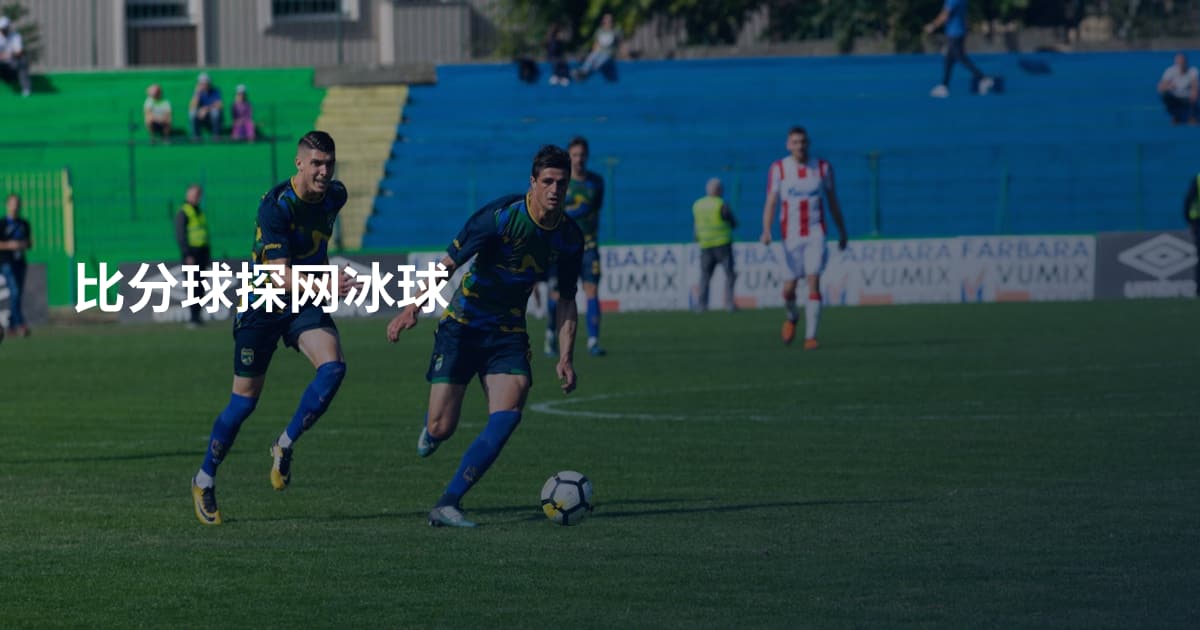 比分球探网冰球