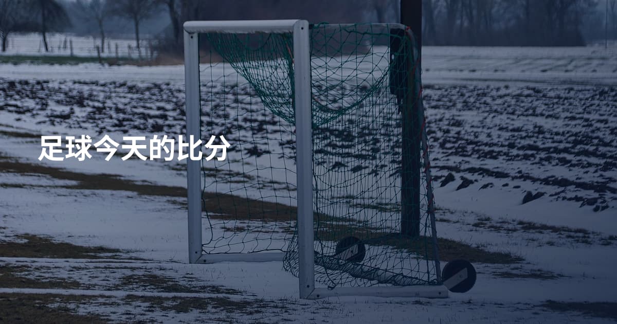 足球今天的比分