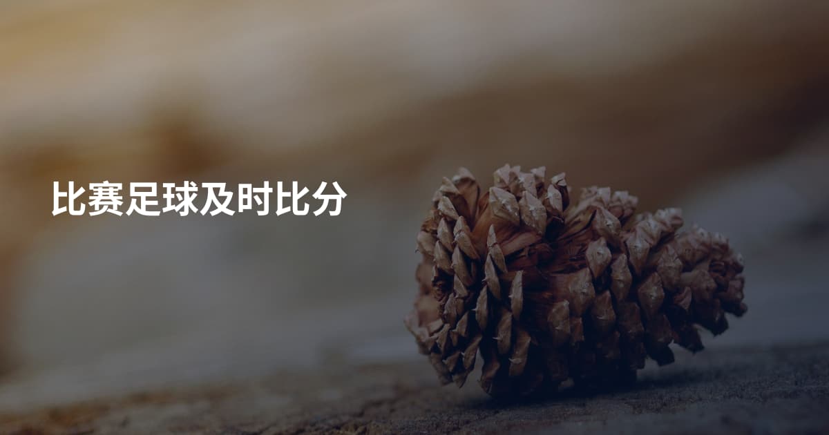比赛足球及时比分