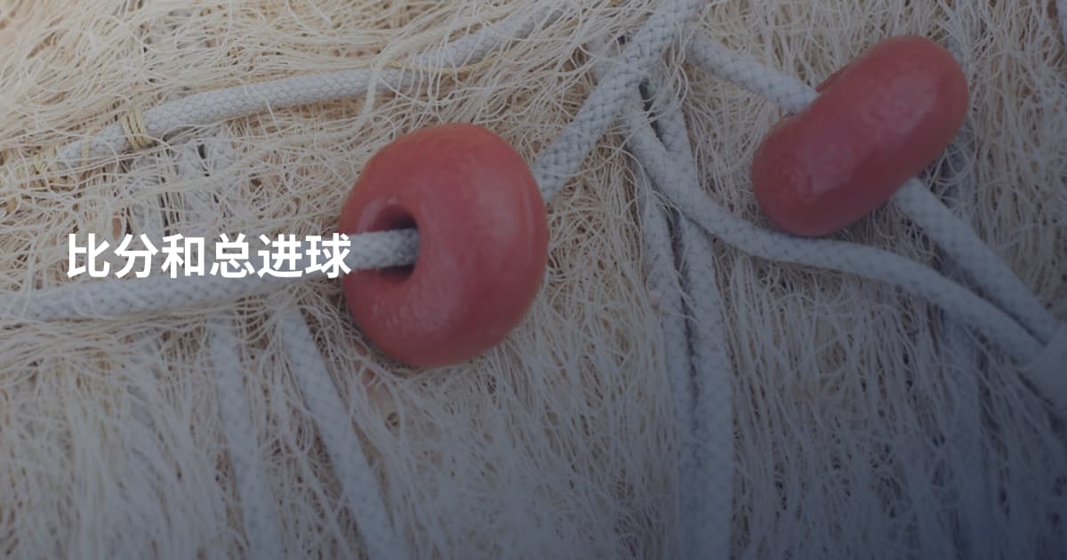比分和总进球