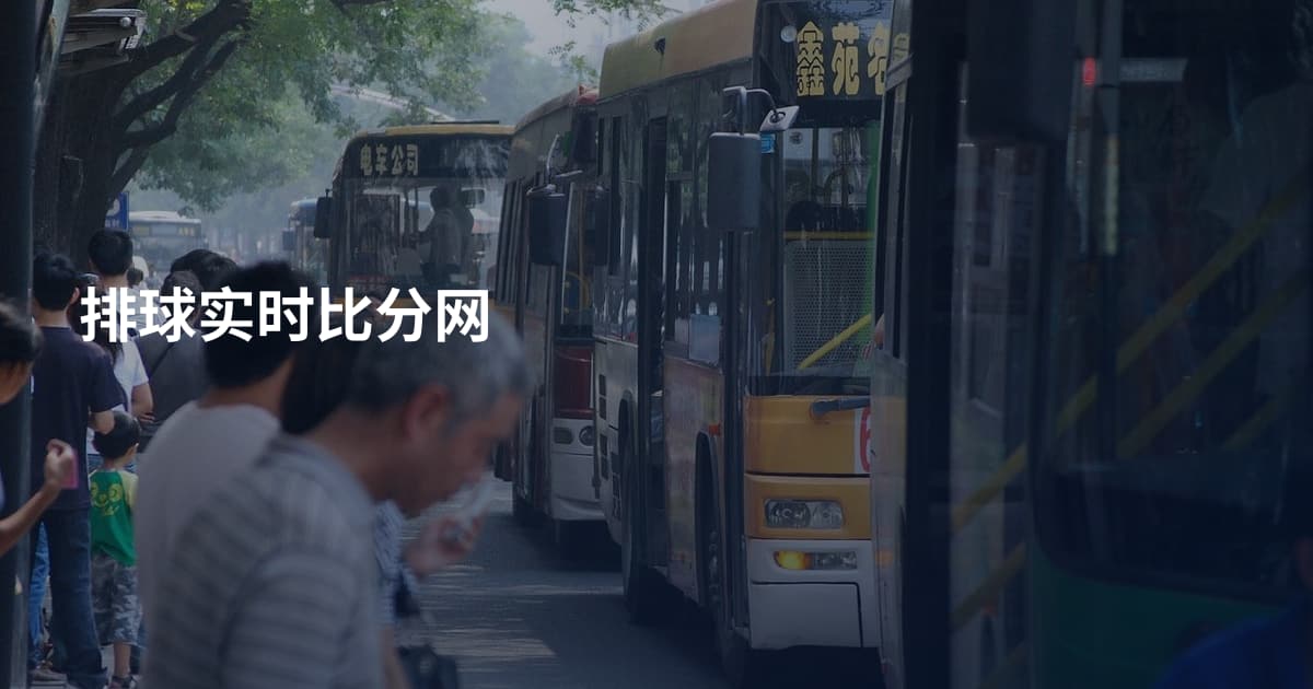 排球实时比分网