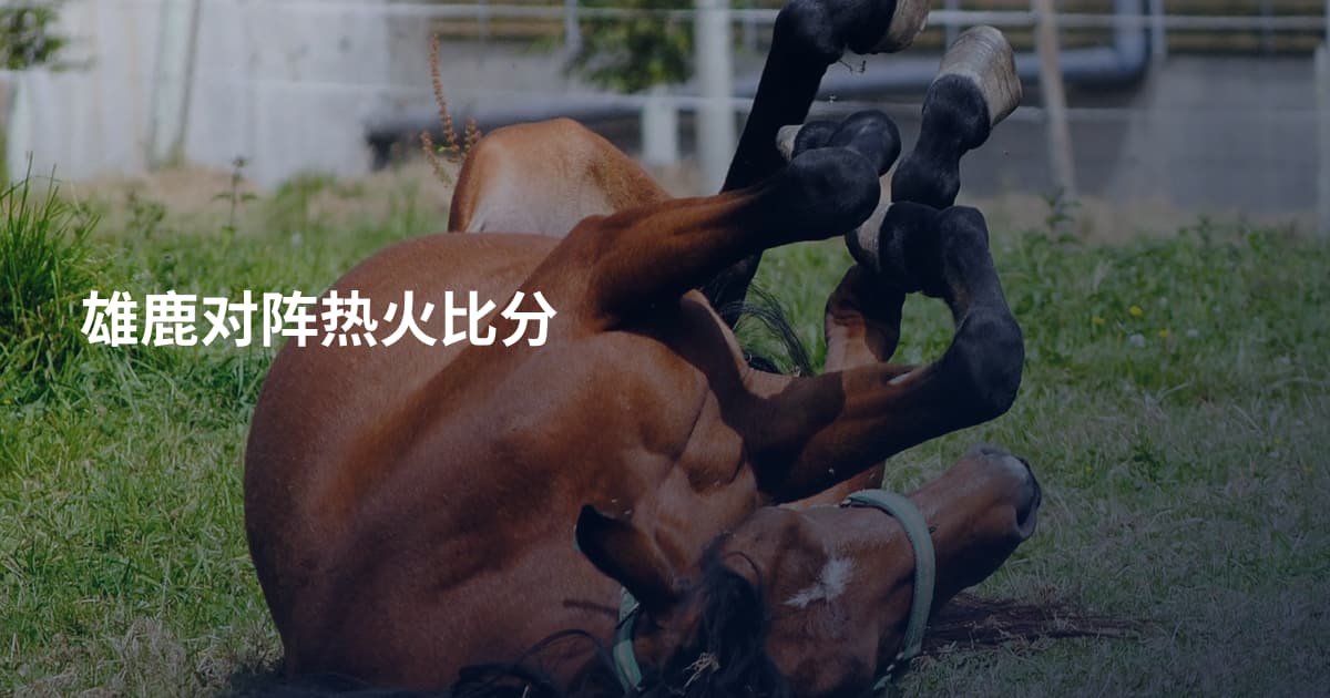 雄鹿对阵热火比分