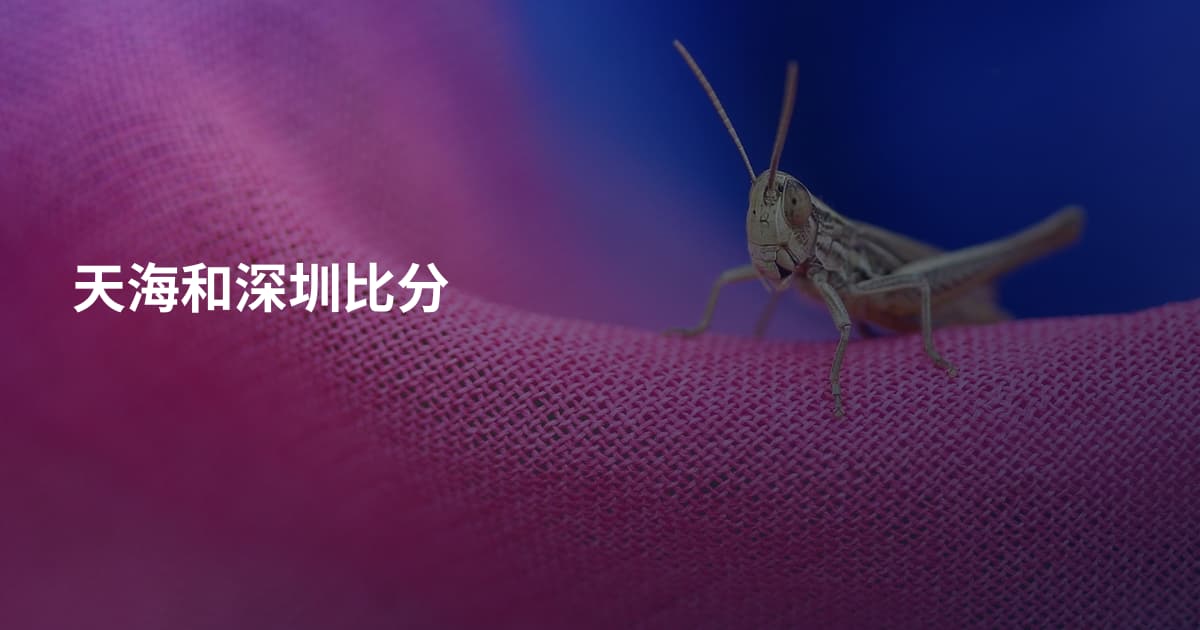 天海和深圳比分
