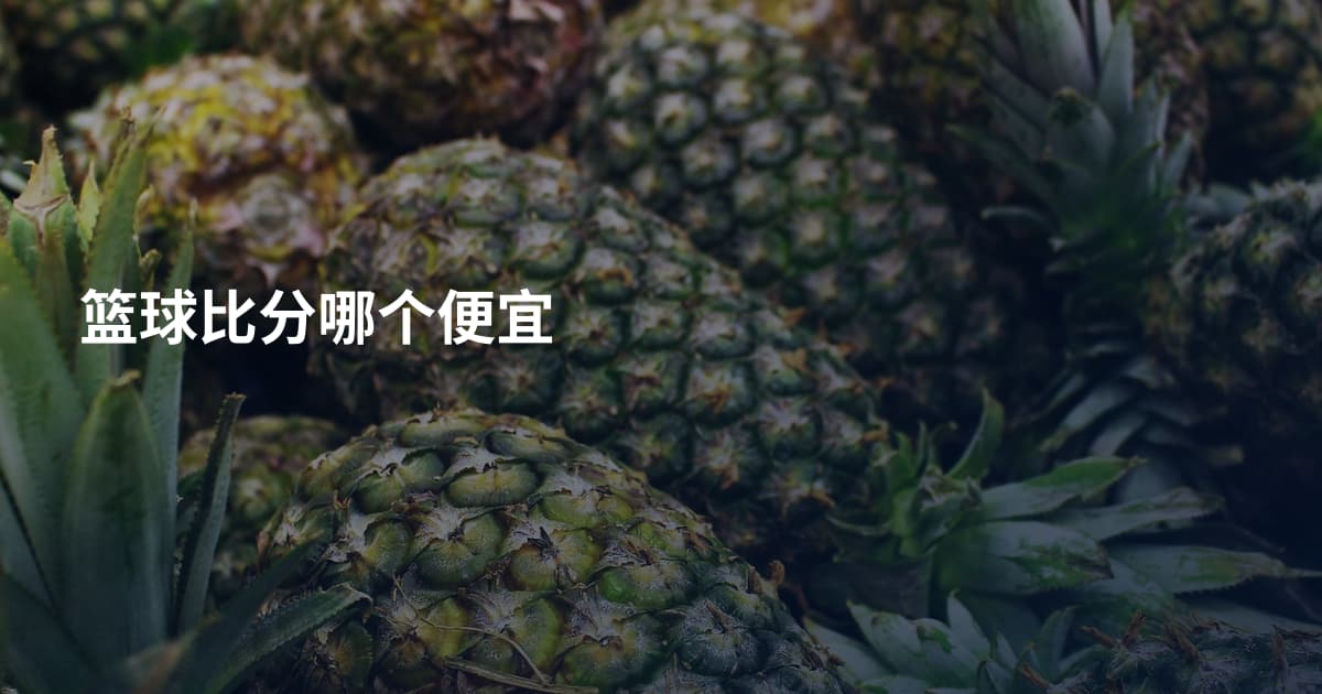 篮球比分哪个便宜