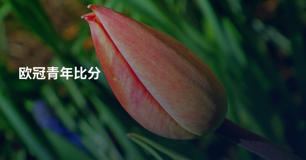 欧冠青年比分