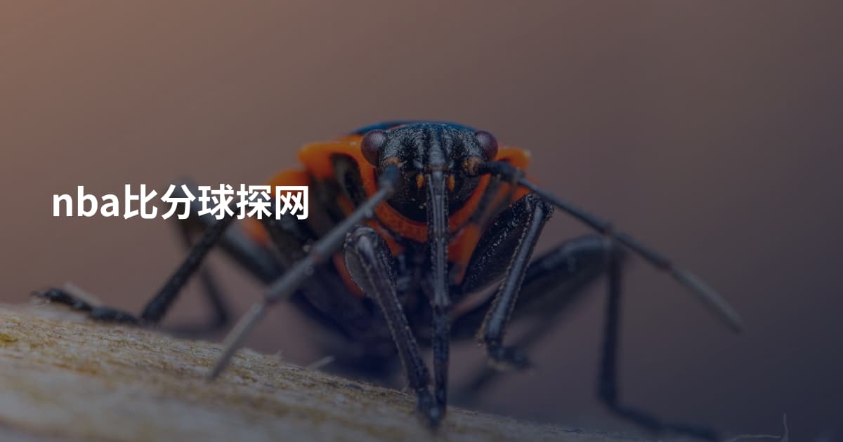 nba比分球探网