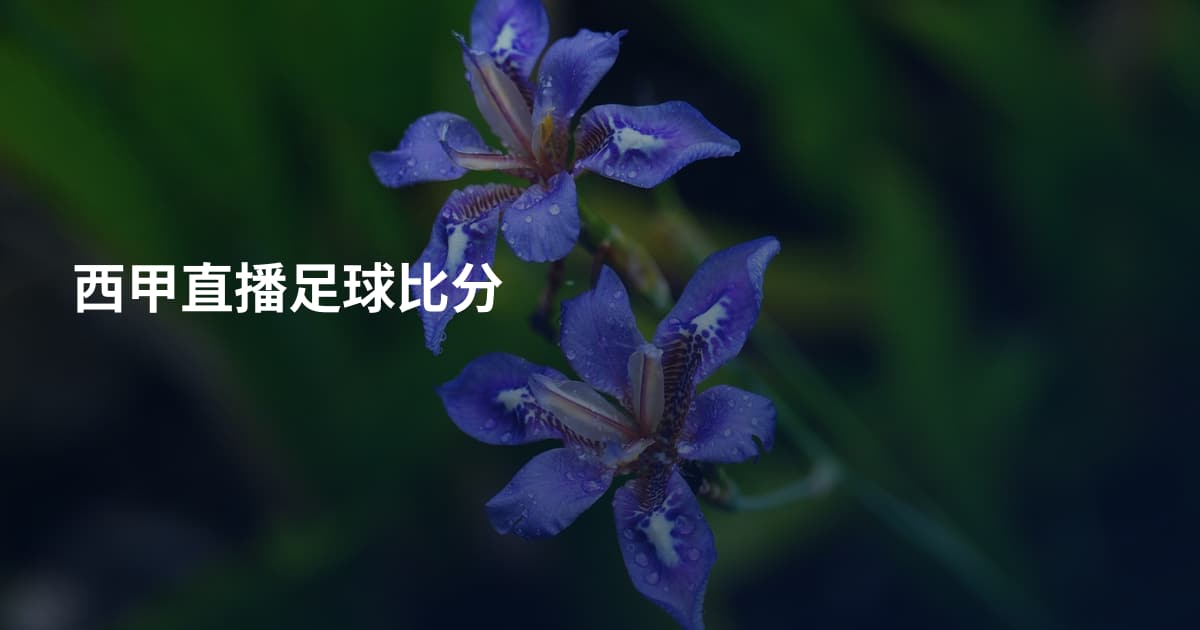 西甲直播足球比分