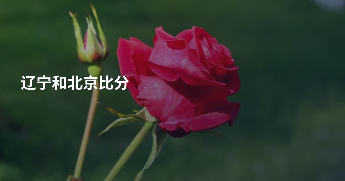 辽宁和北京比分