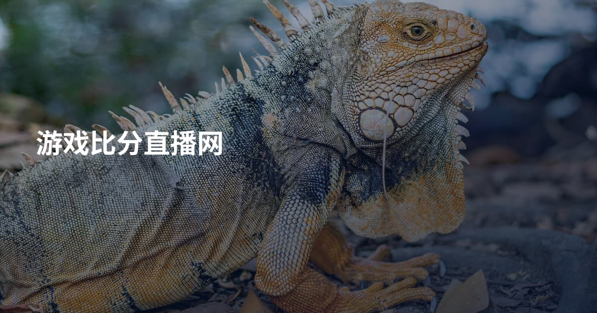 游戏比分直播网