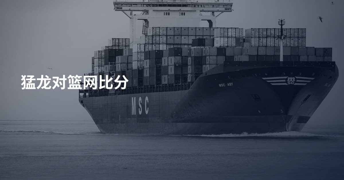 猛龙对篮网比分