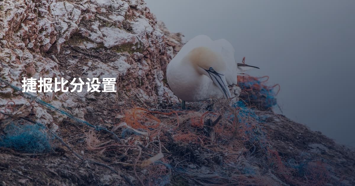 捷报比分设置