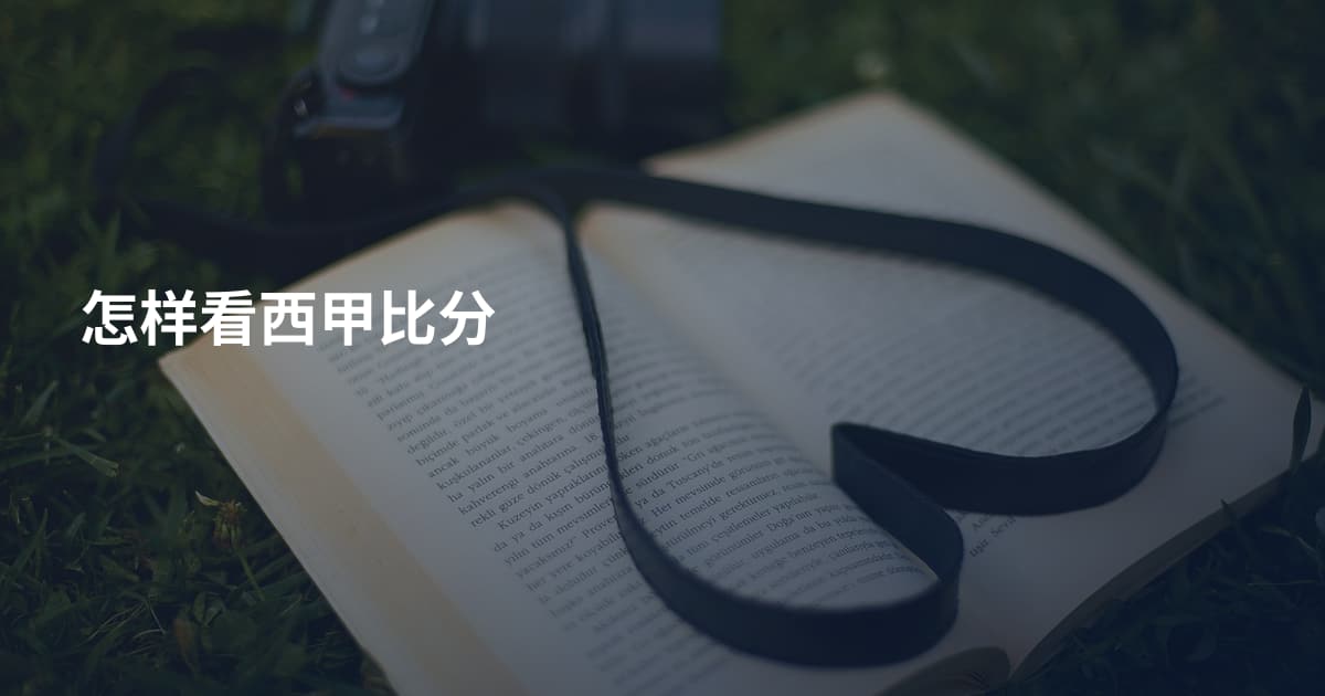 怎样看西甲比分