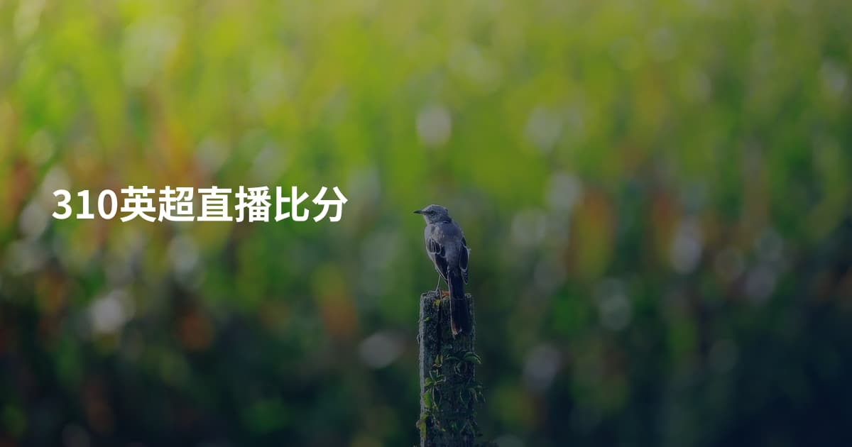 310英超直播比分