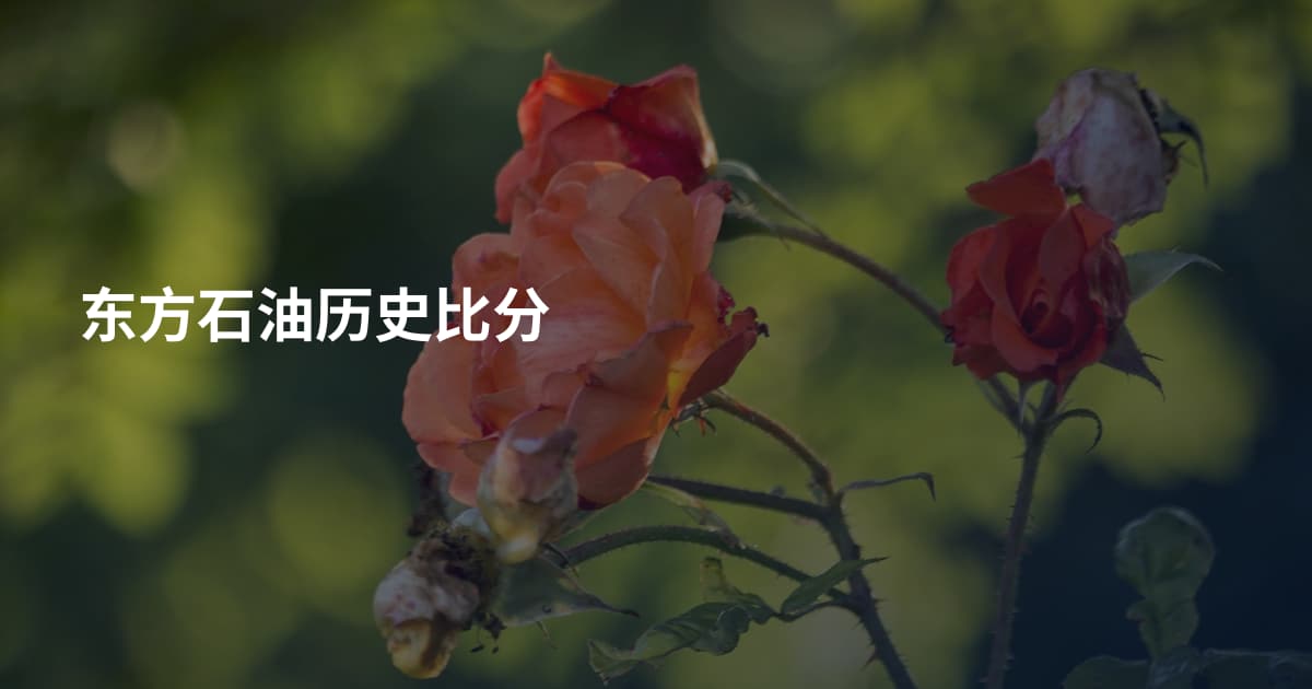 东方石油历史比分