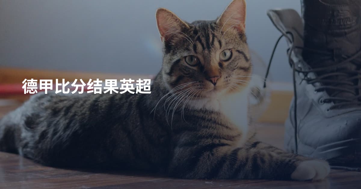 德甲比分结果英超