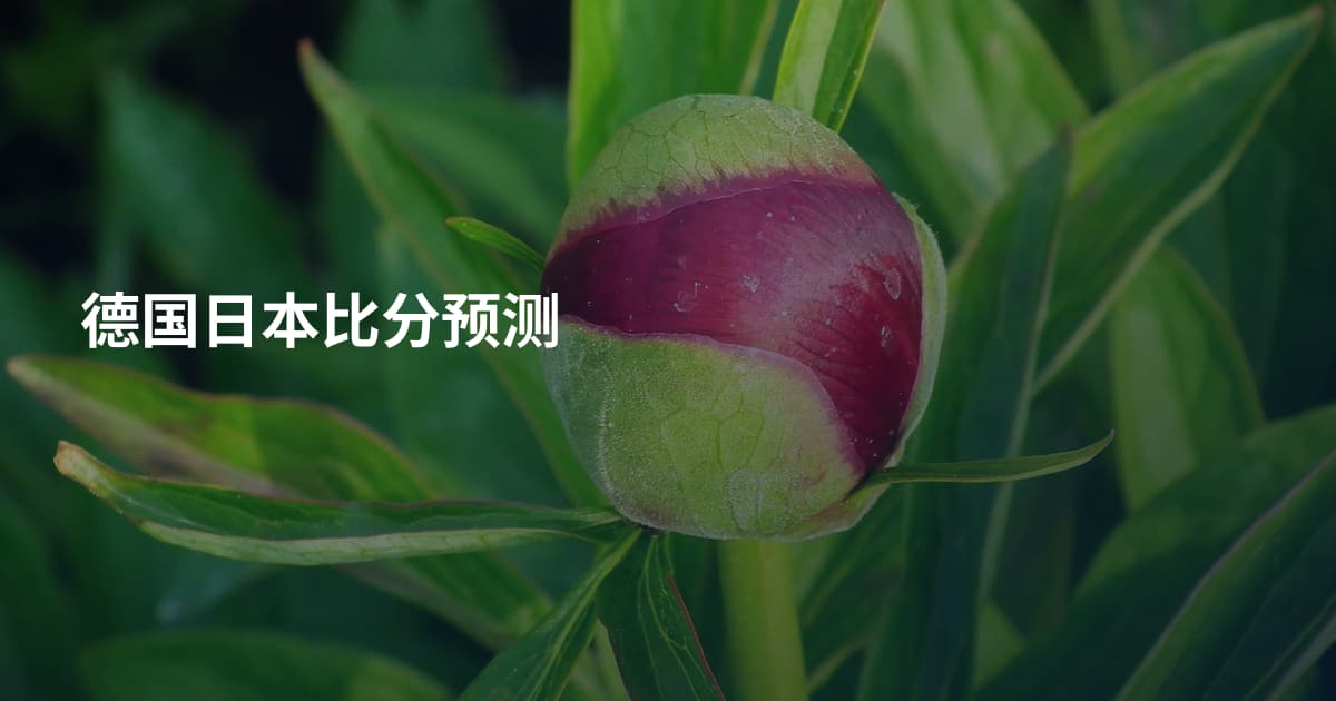德国日本比分预测